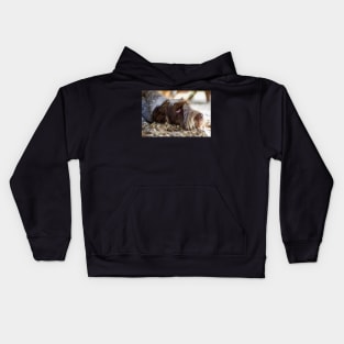 Looking up Spinone Kids Hoodie